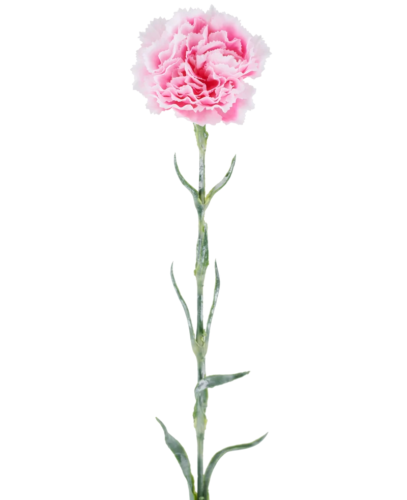 Kunstbloem Carnation 68 cm roze