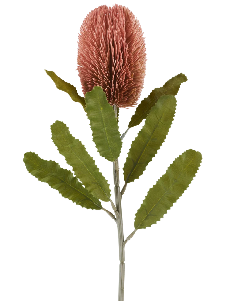 Kunstbloem Banksia 65 cm oud roze