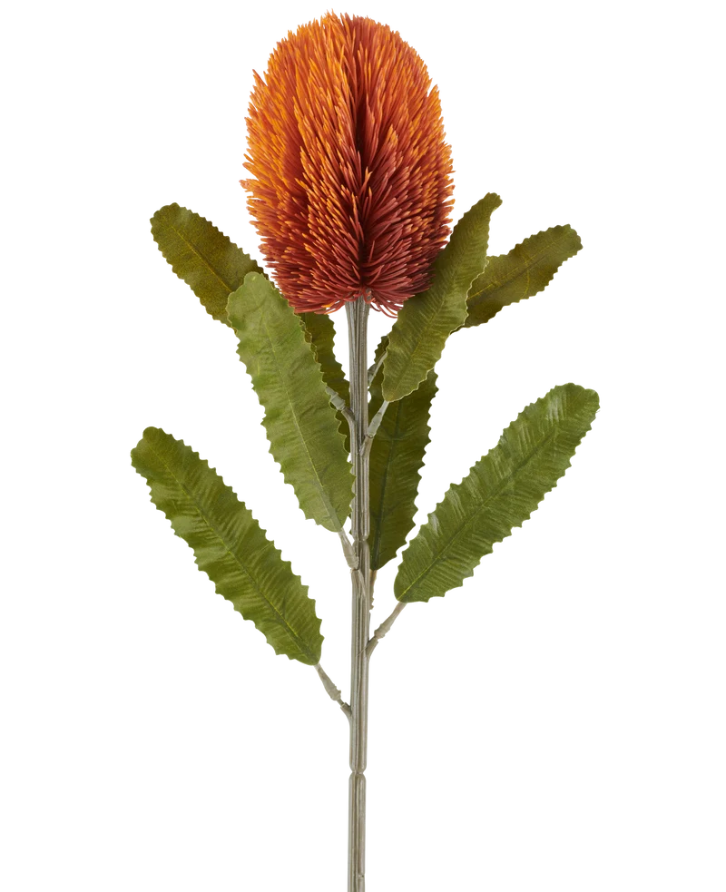 Kunstbloem Banksia 65 cm oud oranje