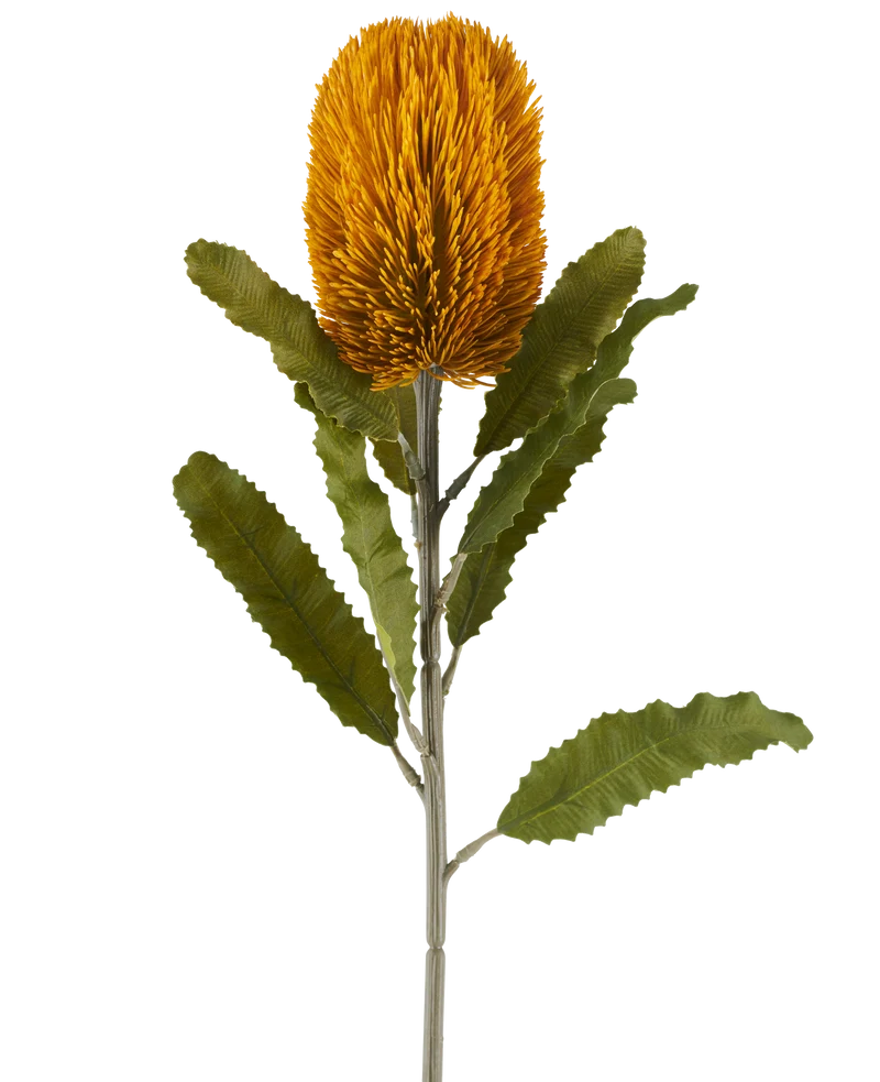 Kunstbloem Banksia 65 cm mosterd