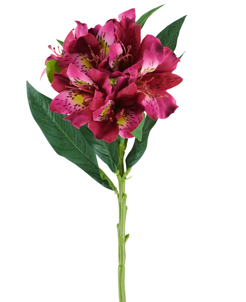 Kunstbloem Alstroemeria 74 cm rood/paars