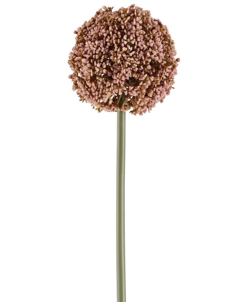 Kunstbloem Allium 75 cm mauve