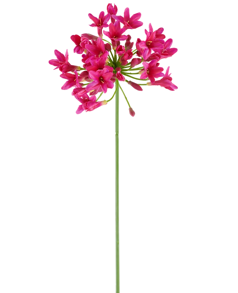 Kunstbloem Agapanthus 75 fuchsia