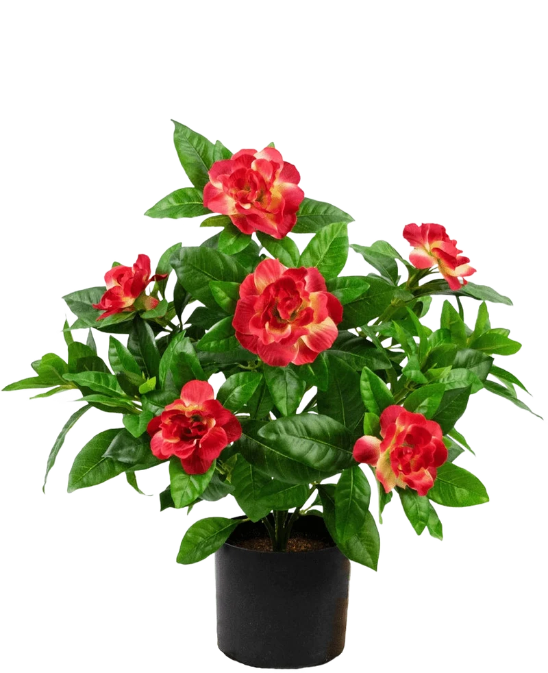 Kunstplant Gardenia UV 39 cm fuchsia