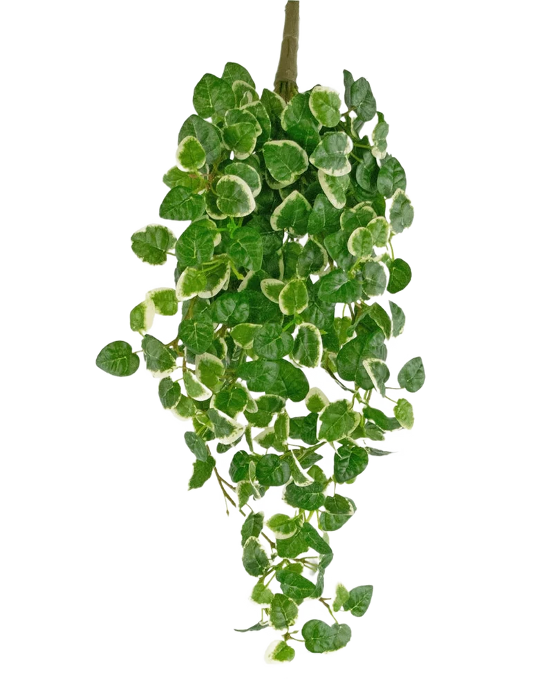 Kunst hangplant Pumila 50 cm