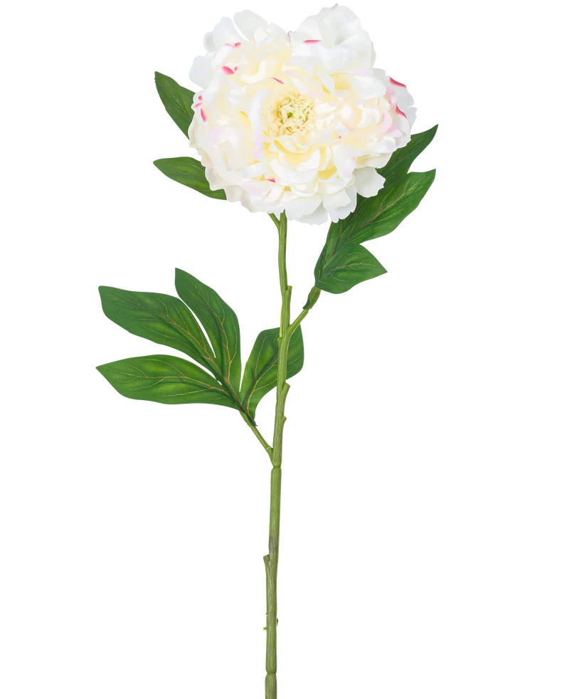 Kunstbloem Pioen 77 cm wit