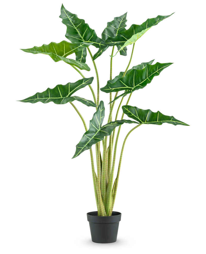 Kunstplant Alocasia 120 cm