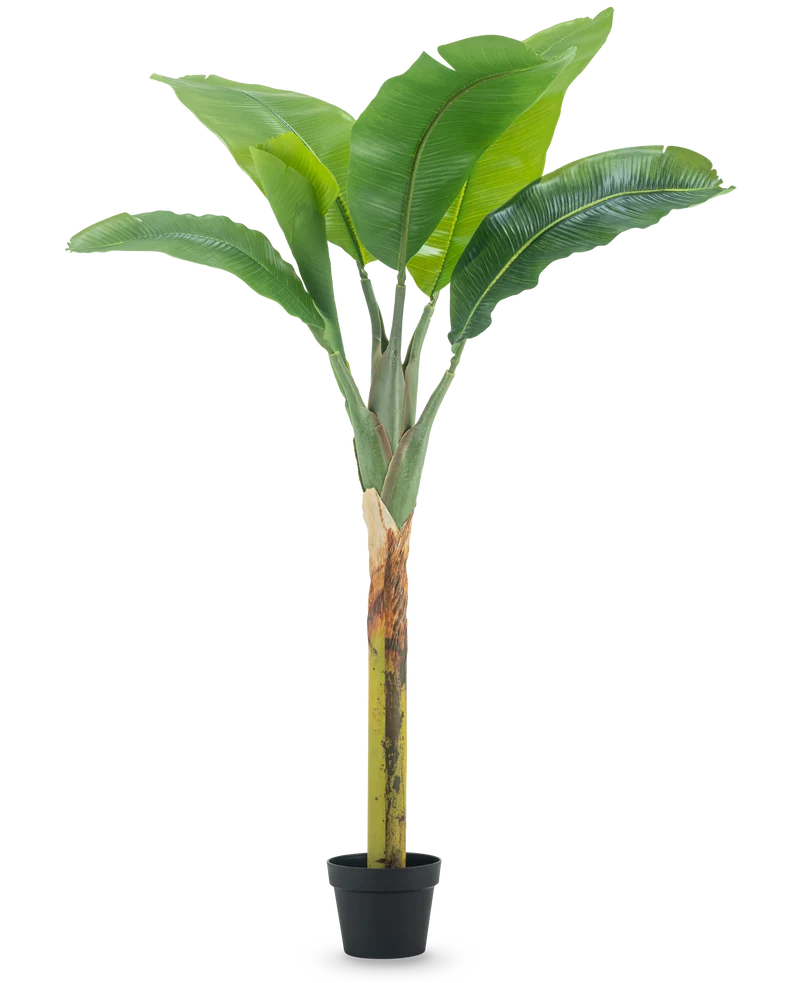 Kunstplant Bananenboom 150 cm