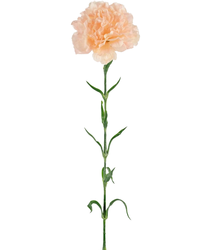 Kunstbloem Anjer 69 cm perzik