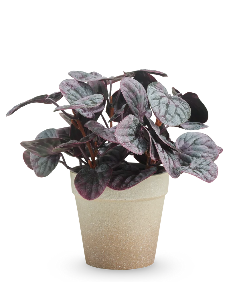 Kunstplant Rugose blad 21 cm grijs