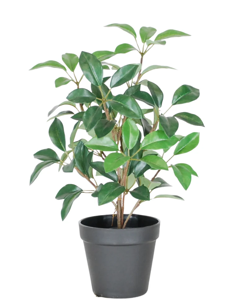 Kunst Laurier in pot UV 43 cm