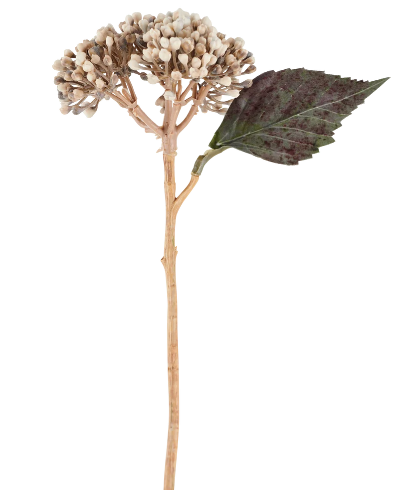 Kunstbloem Gedroogde Hortensia 38 cm creme/bruin