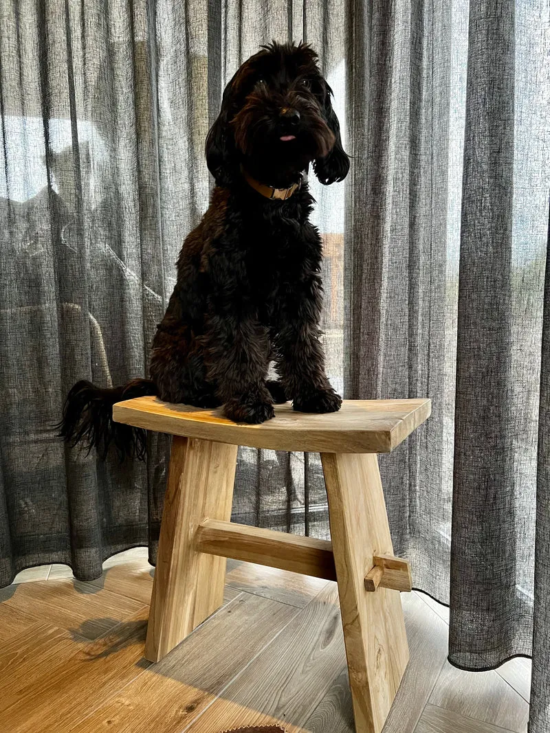 Teakhouten kruk -↑47 cm / →28 cm - Naturel