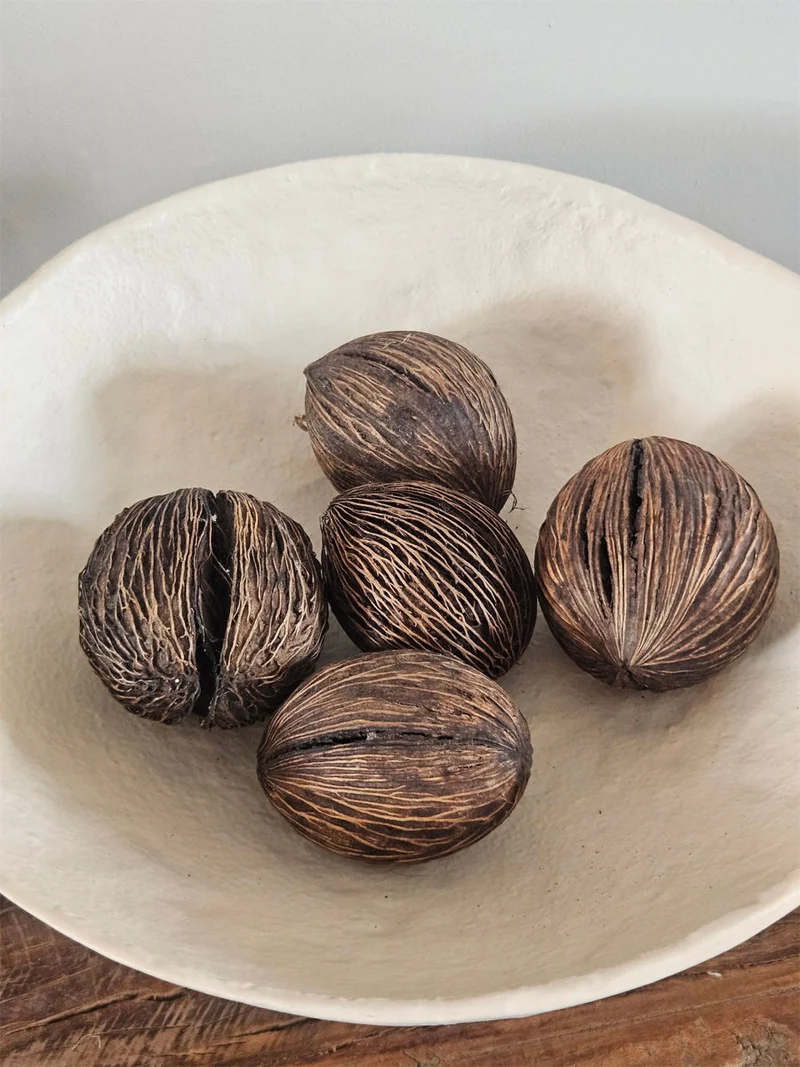 Mintolla Ball Brown - 5 Stuks