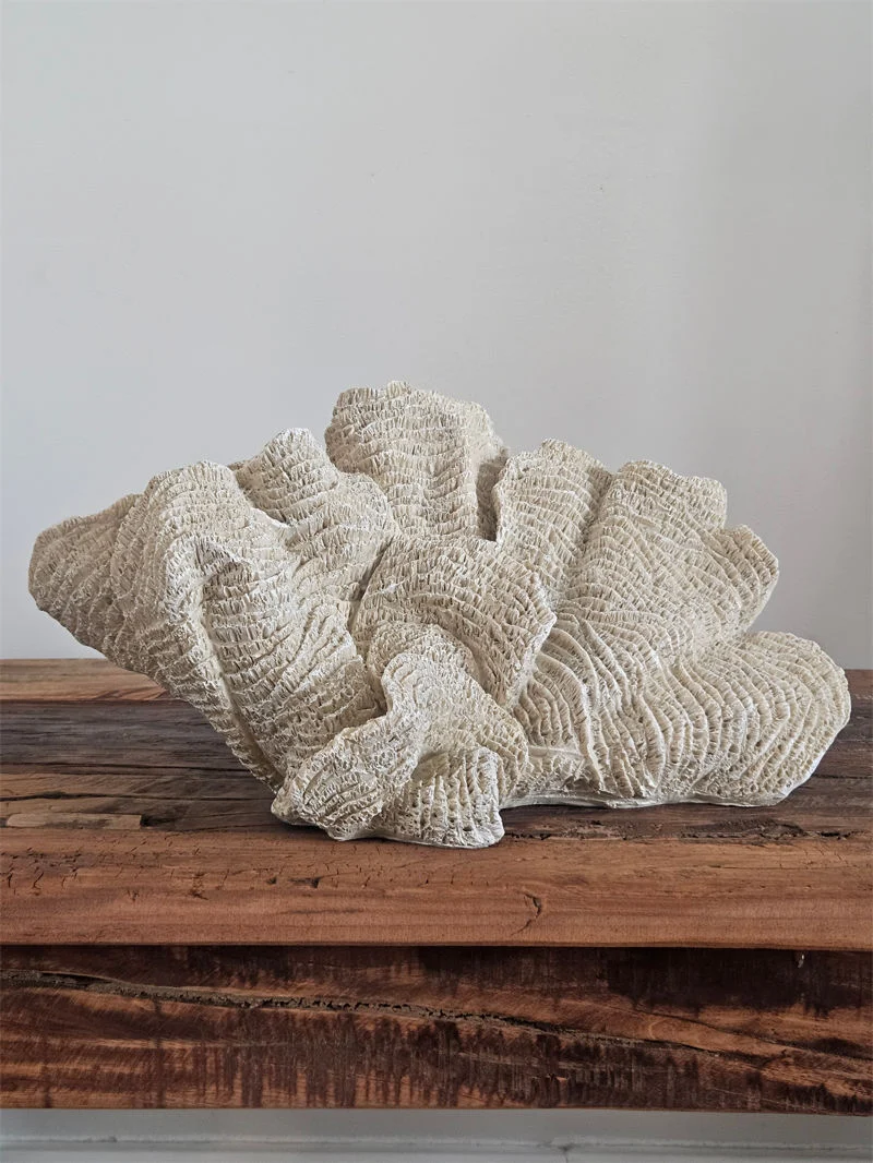 Ornament Coral Ocean