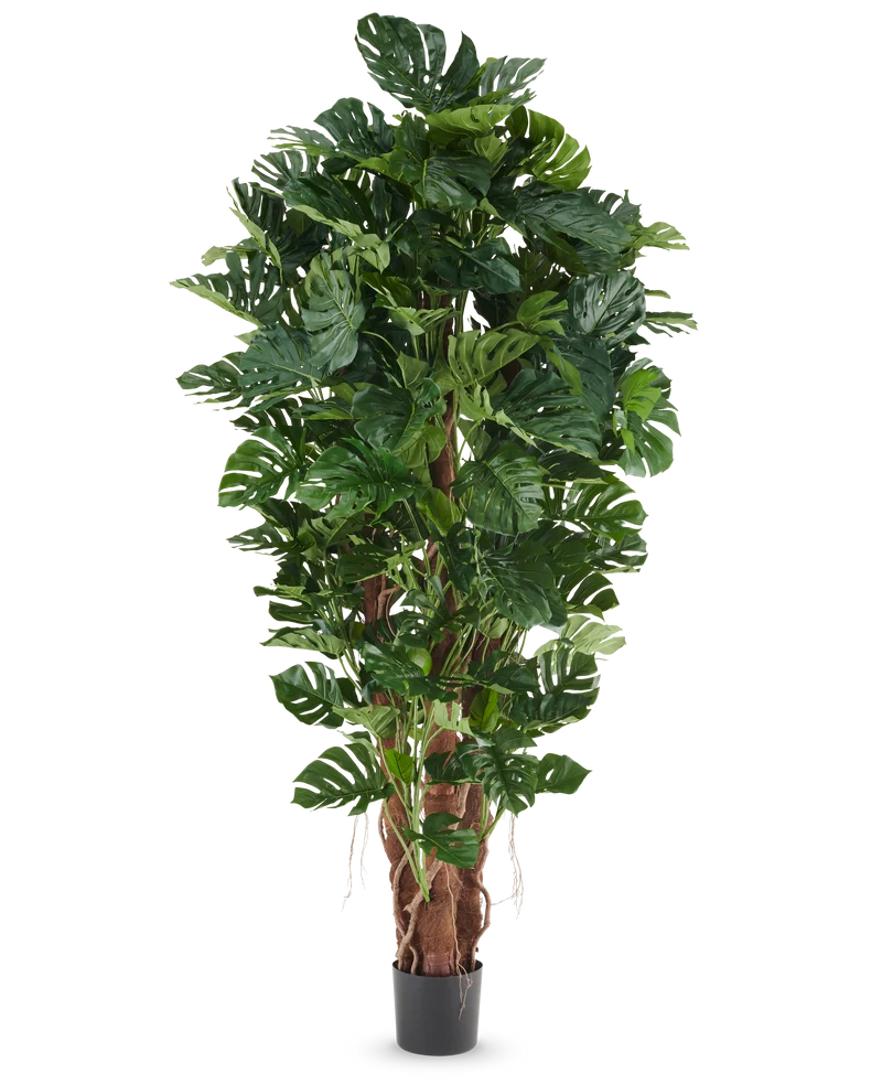 Kunstplant Philodendron 230 cm