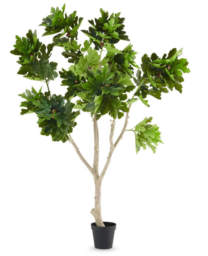 Kunstplant Ficus Carica vijgenboom 250 cm