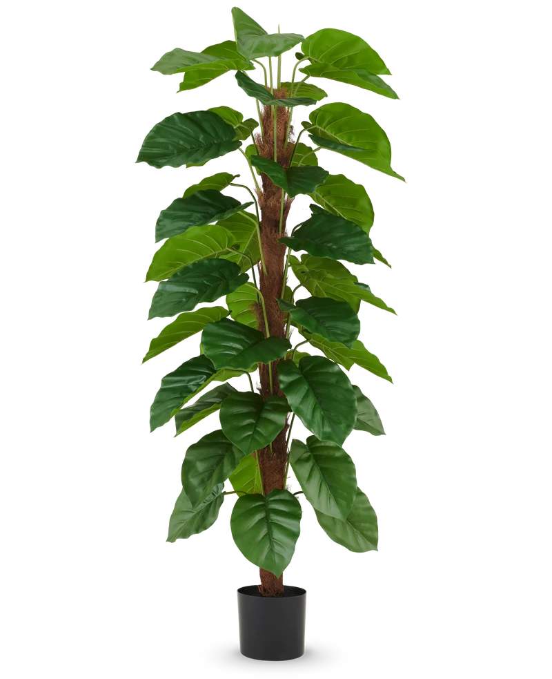 Kunstplant Epipremnum aureum 180 cm