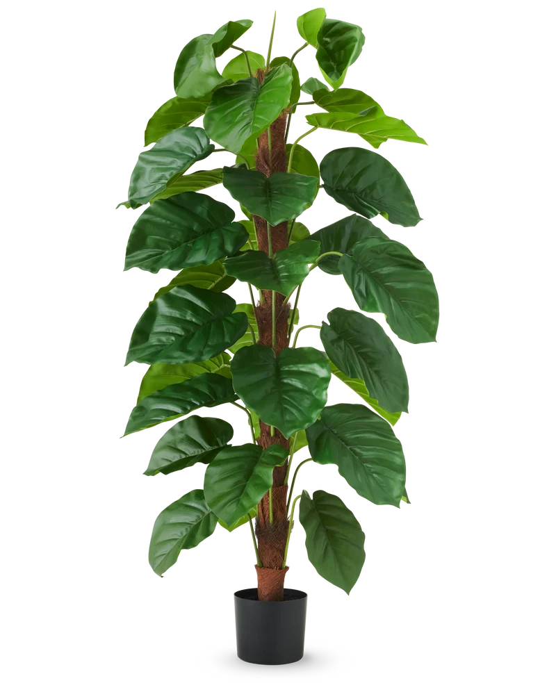 Kunstplant Epipremnum aureum 150 cm