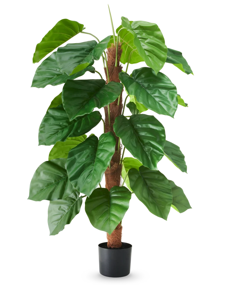 Kunstplant Epipremnum aureum 120 cm