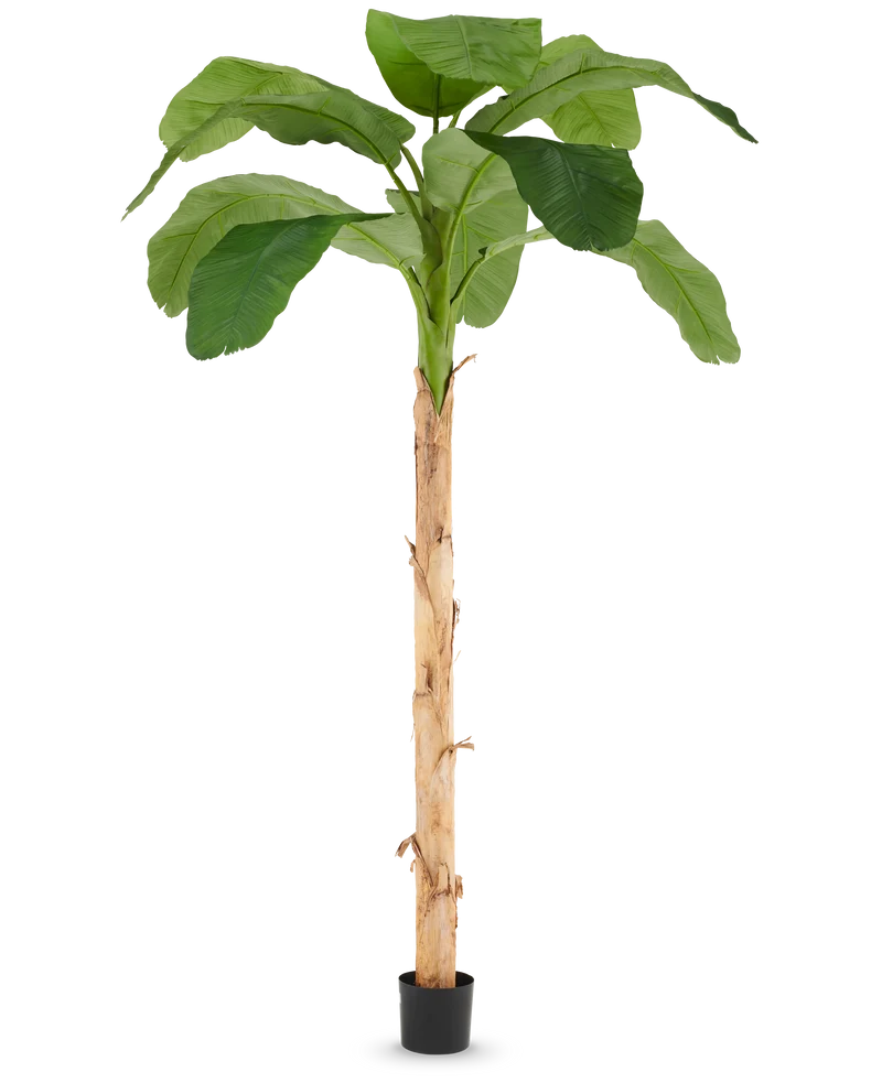 Kunstboom Bananenplant 240 cm