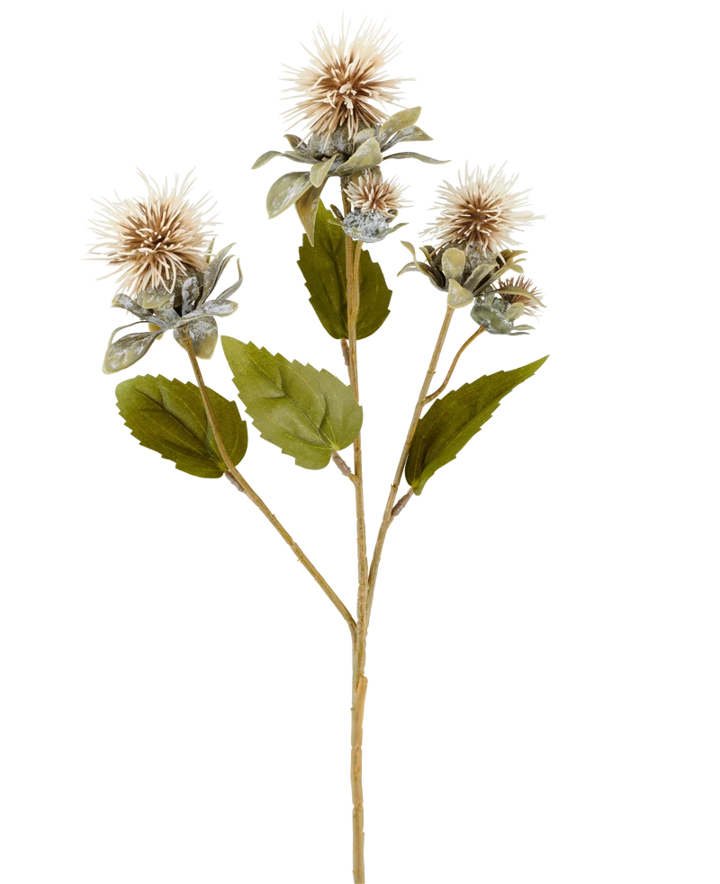 Kunstbloem Saffloer 57 cm creme/bruin
