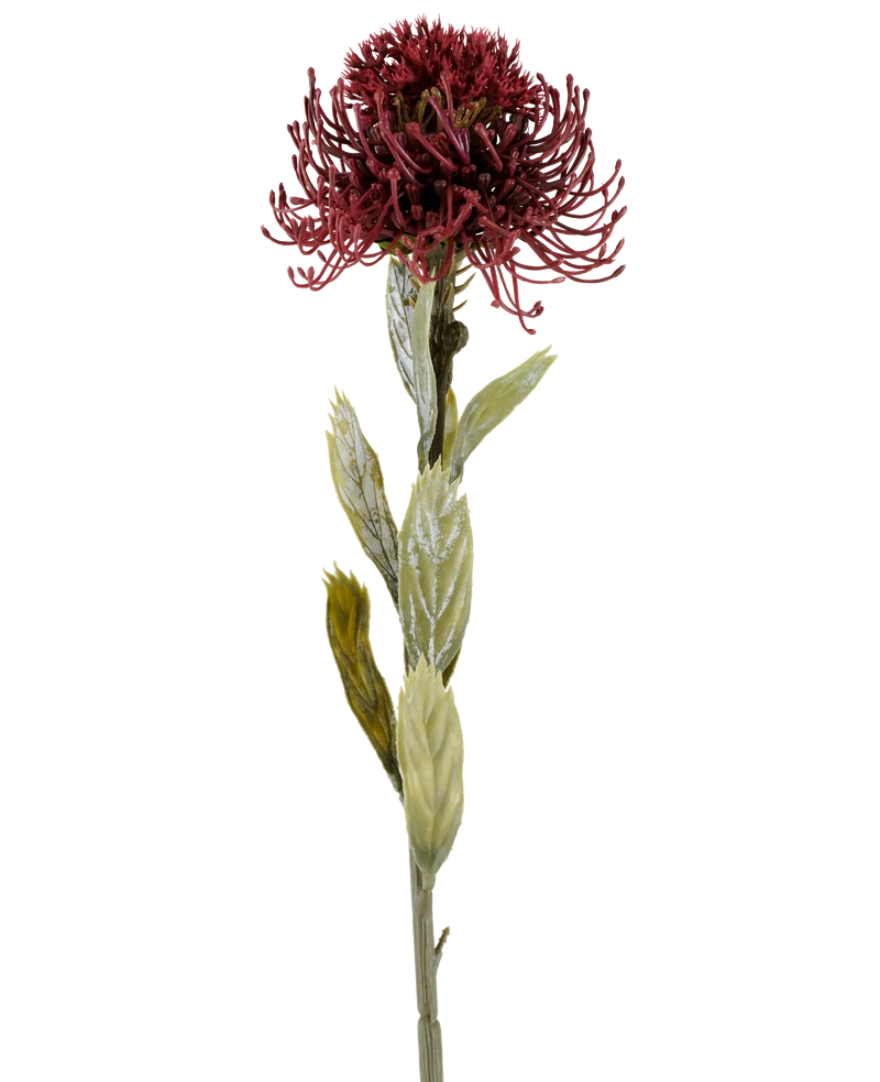 Kunstbloem Protea 60 cm bordeaux