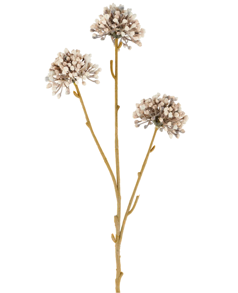 Kunstbloem Mini Allium 60 cm creme/bruin