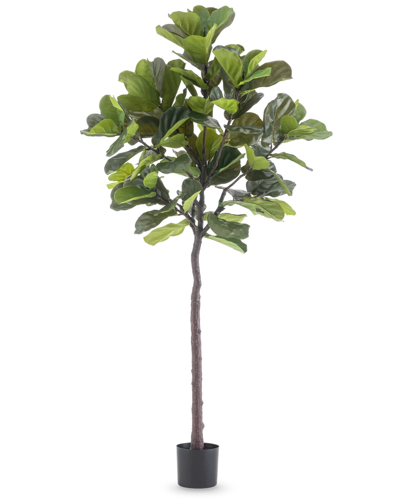 Kunstplant Ficus Tabaksplant Deluxe 215 cm