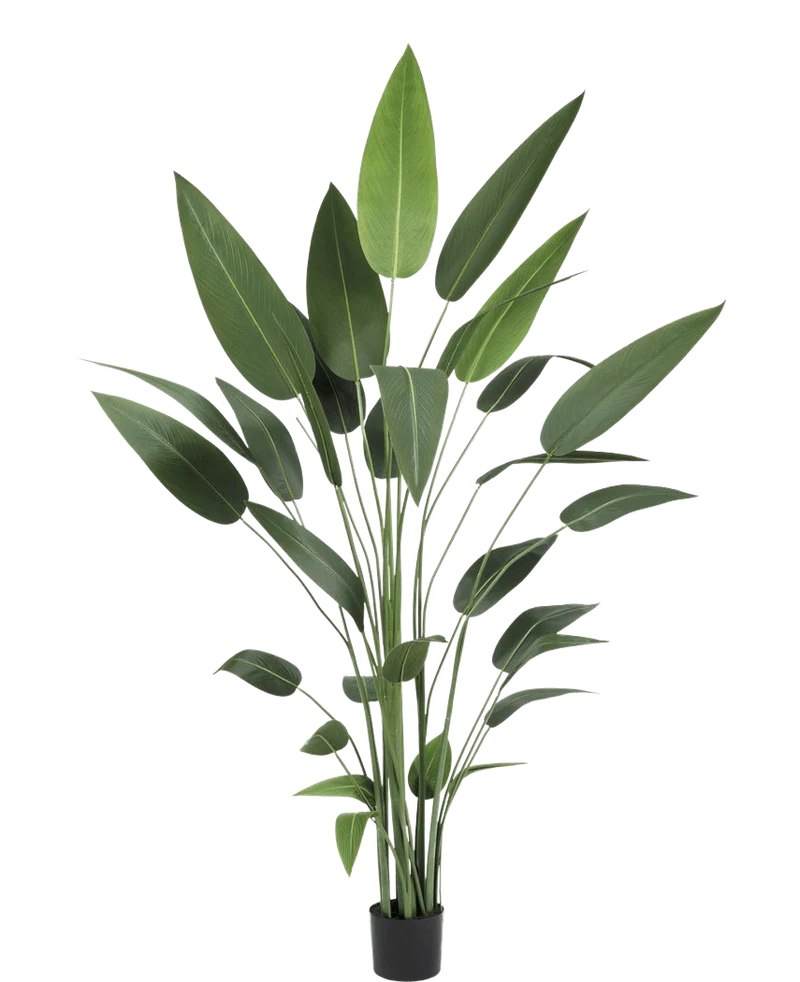 Kunstplant Heliconia 210 cm