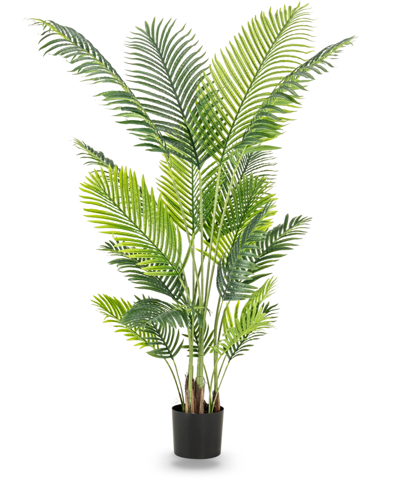 Kunstplant Phoenix 180 cm