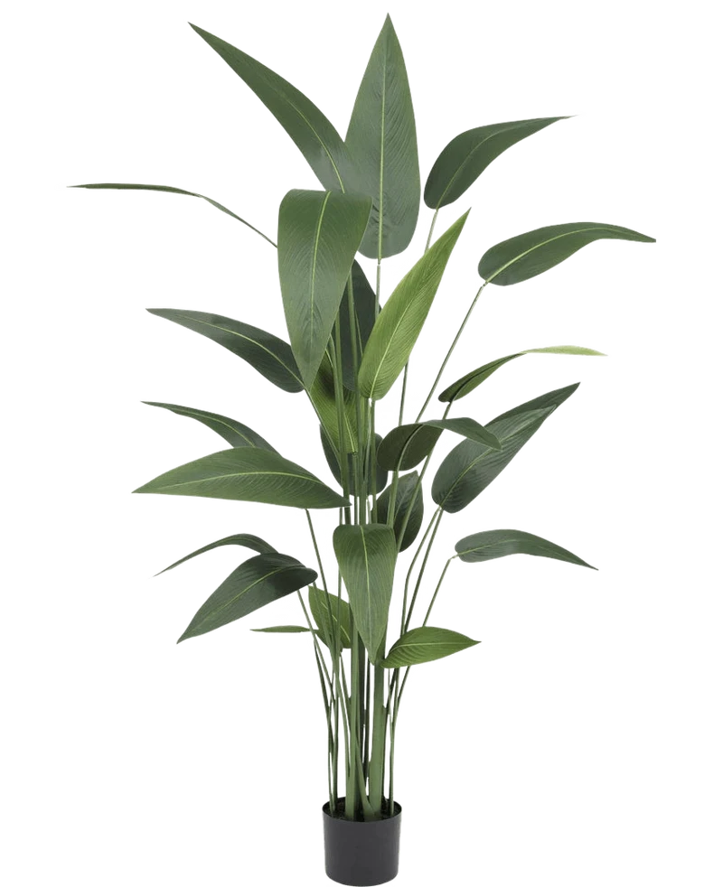 Kunstplant Heliconia 160 cm