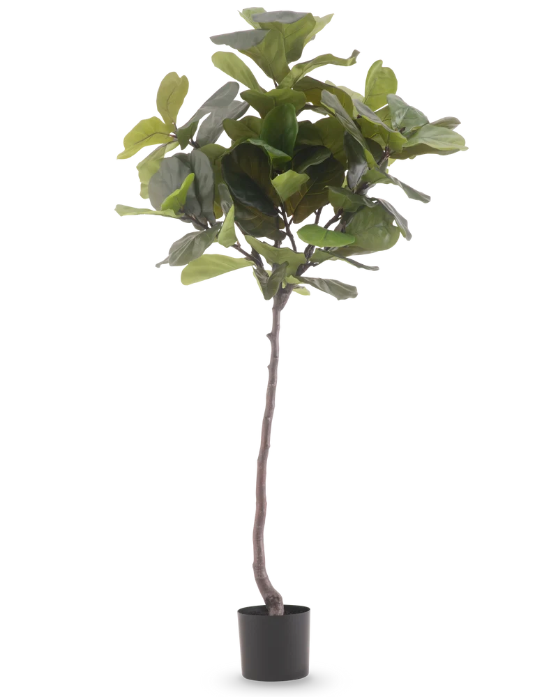 Kunstplant Ficus Tabaksplant Deluxe 180 cm