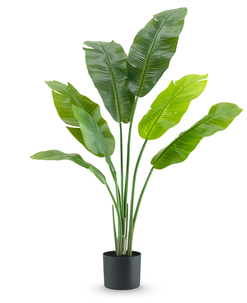 Kunstplant Strelitzia Nicolai Deluxe 120 cm