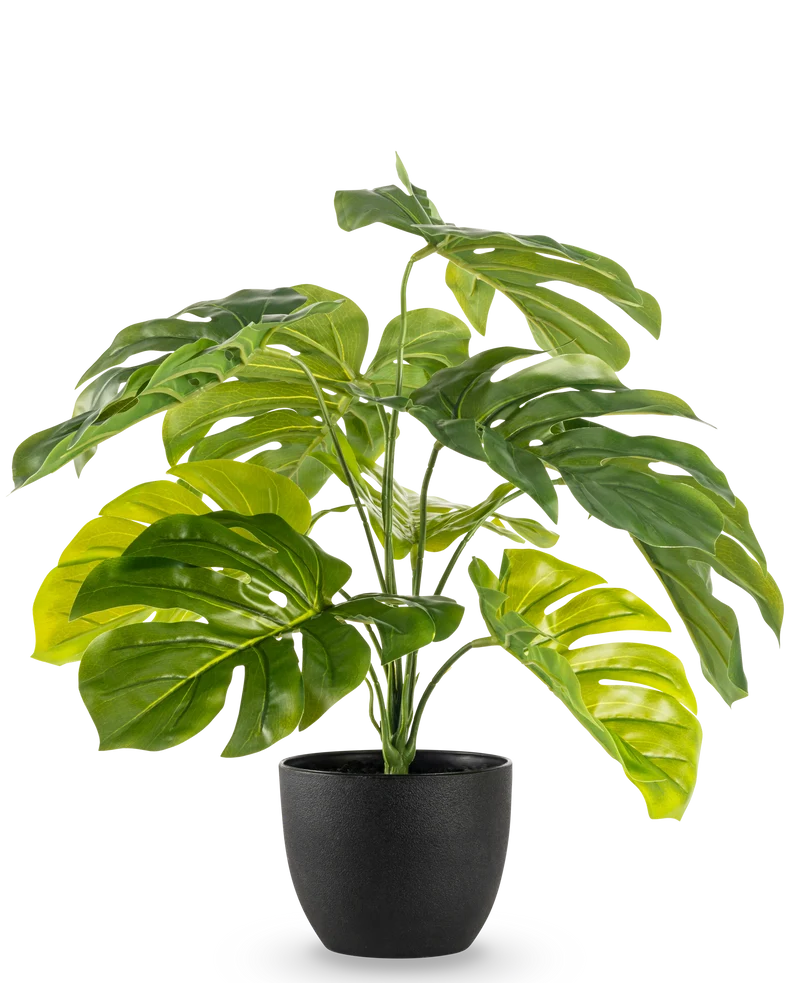 Kunst Monstera 55 cm in sierpot zwart