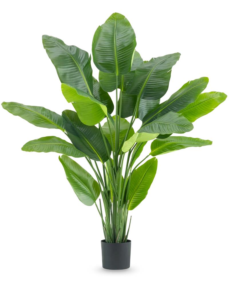 Kunstplant Strelitzia Real Touch Deluxe 180 cm