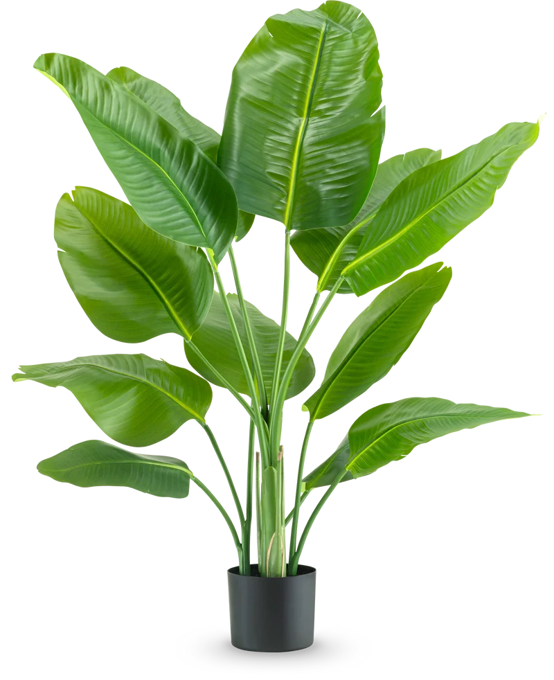 Kunstplant Strelitzia Real Touch Deluxe 120 cm