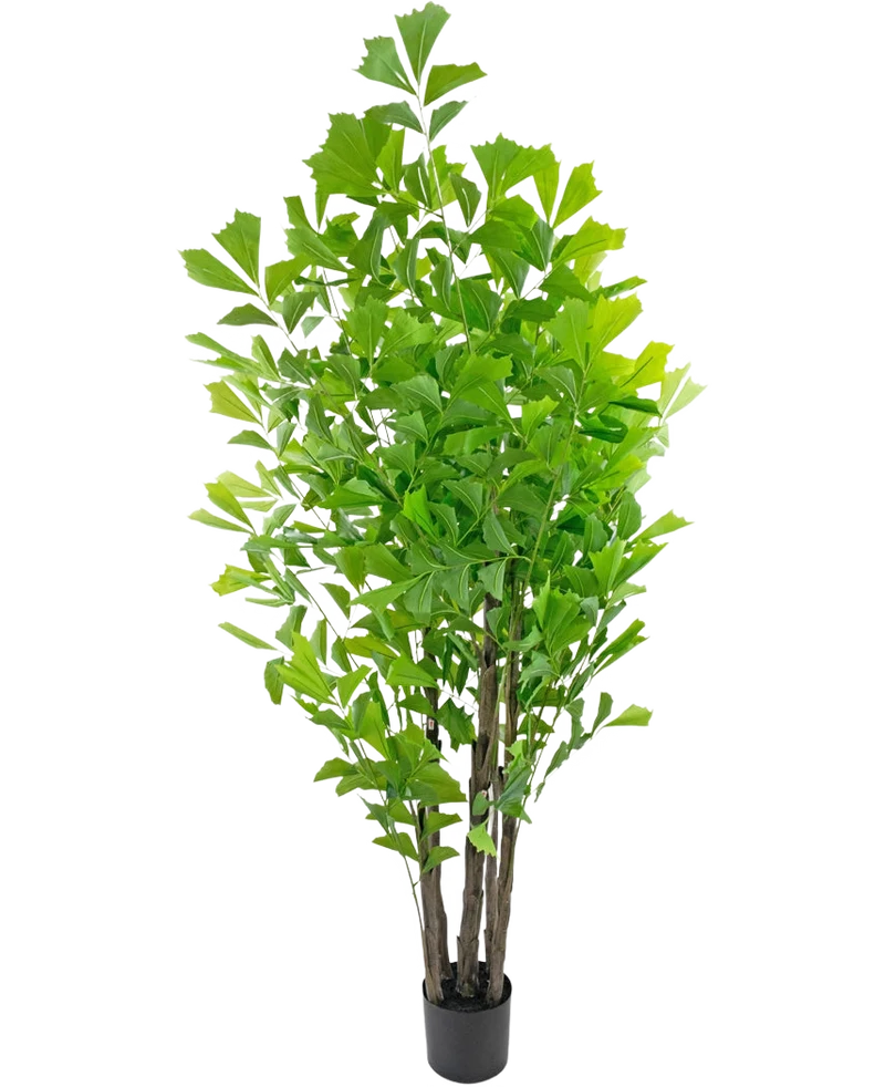 Kunstplant Fishtailpalm 210 cm