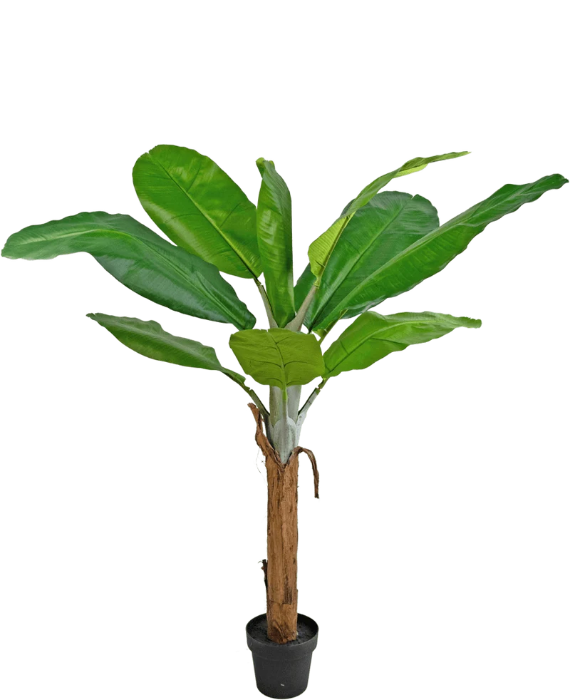 Kunstplant Bananenboom 150 cm