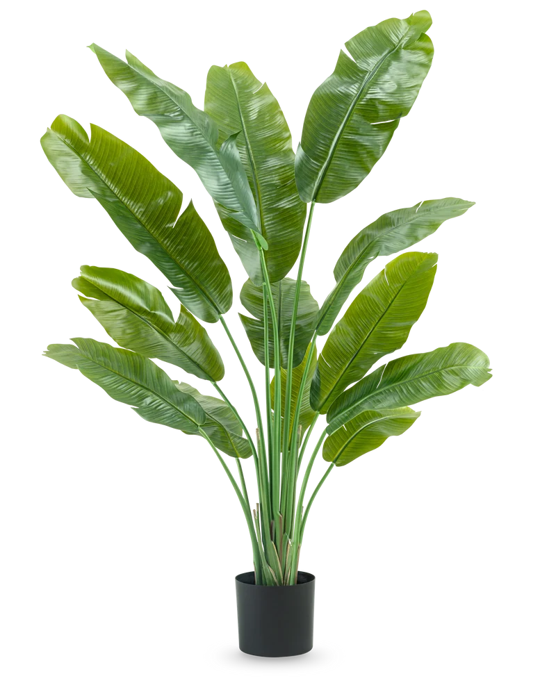 Kunstplant Strelitzia Nicolai Deluxe 165 cm