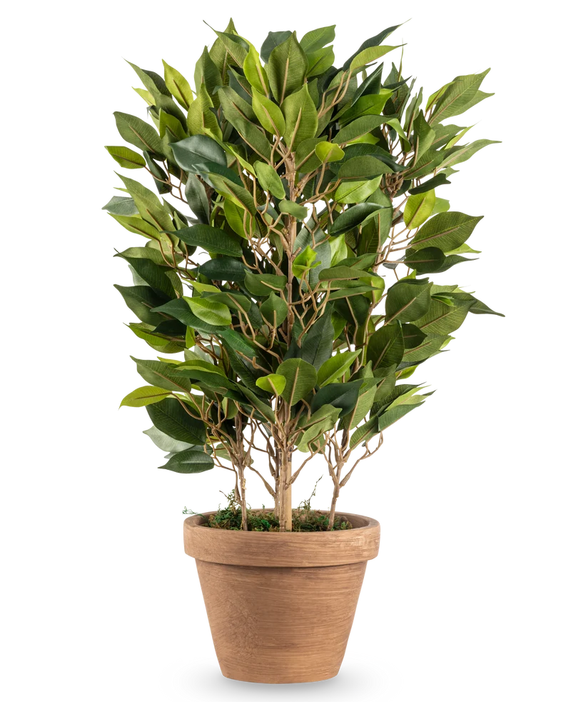 Kunstplant Mini Ficus 45 cm in pot
