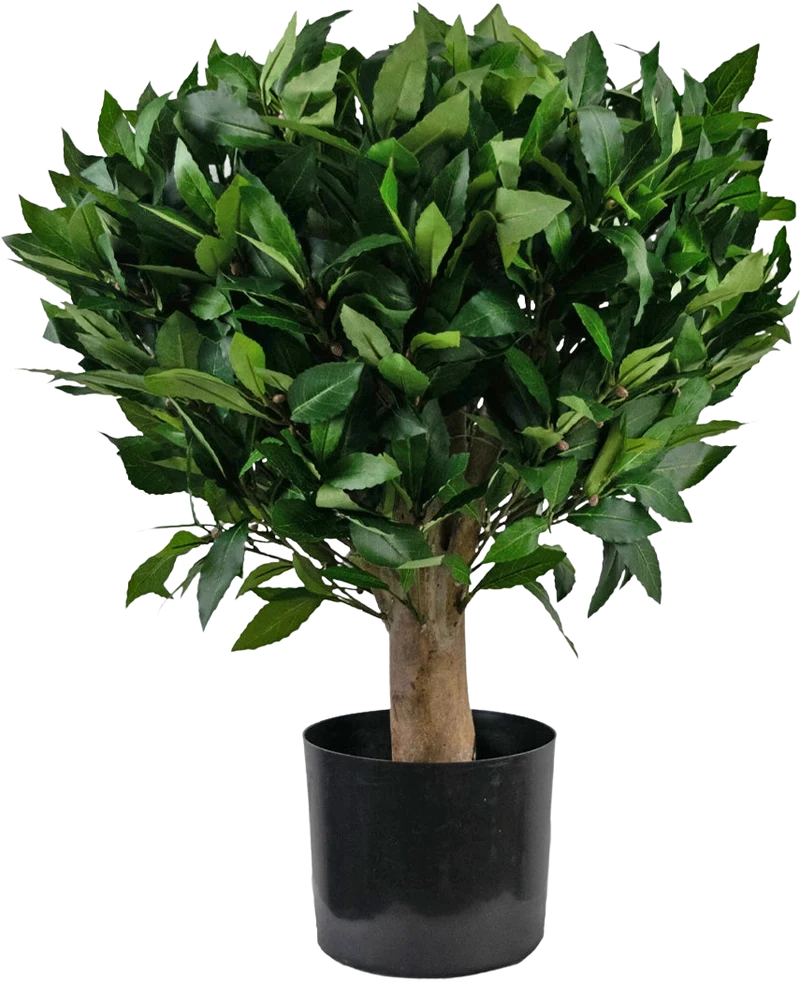 Kunstplant Laurier UV d65 cm