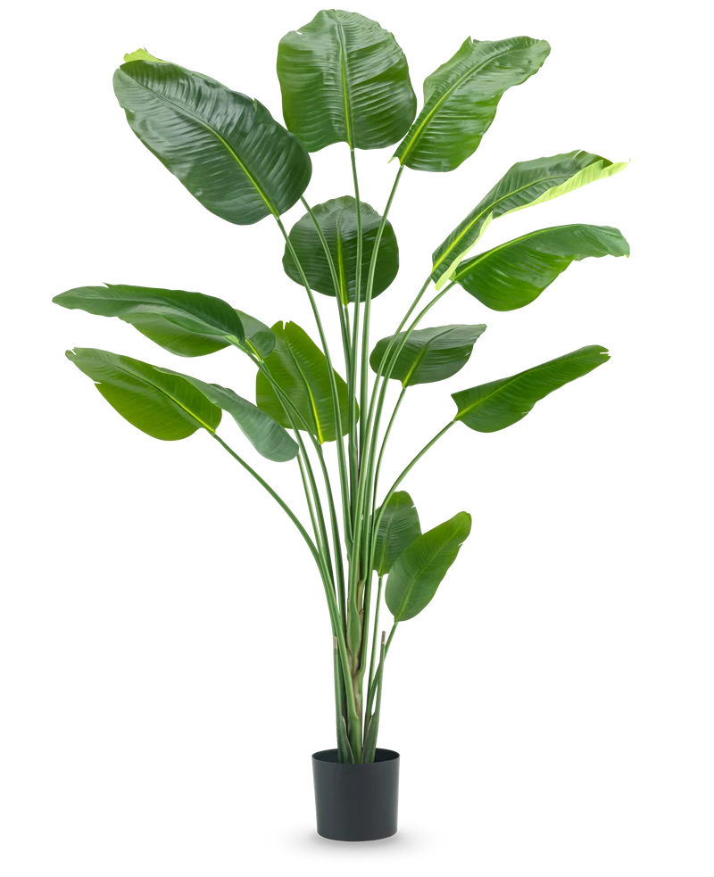 Kunstplant Strelitzia 210 cm real touch