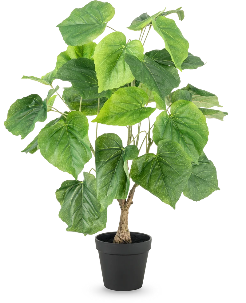 Kunstplant Ficus 60 cm