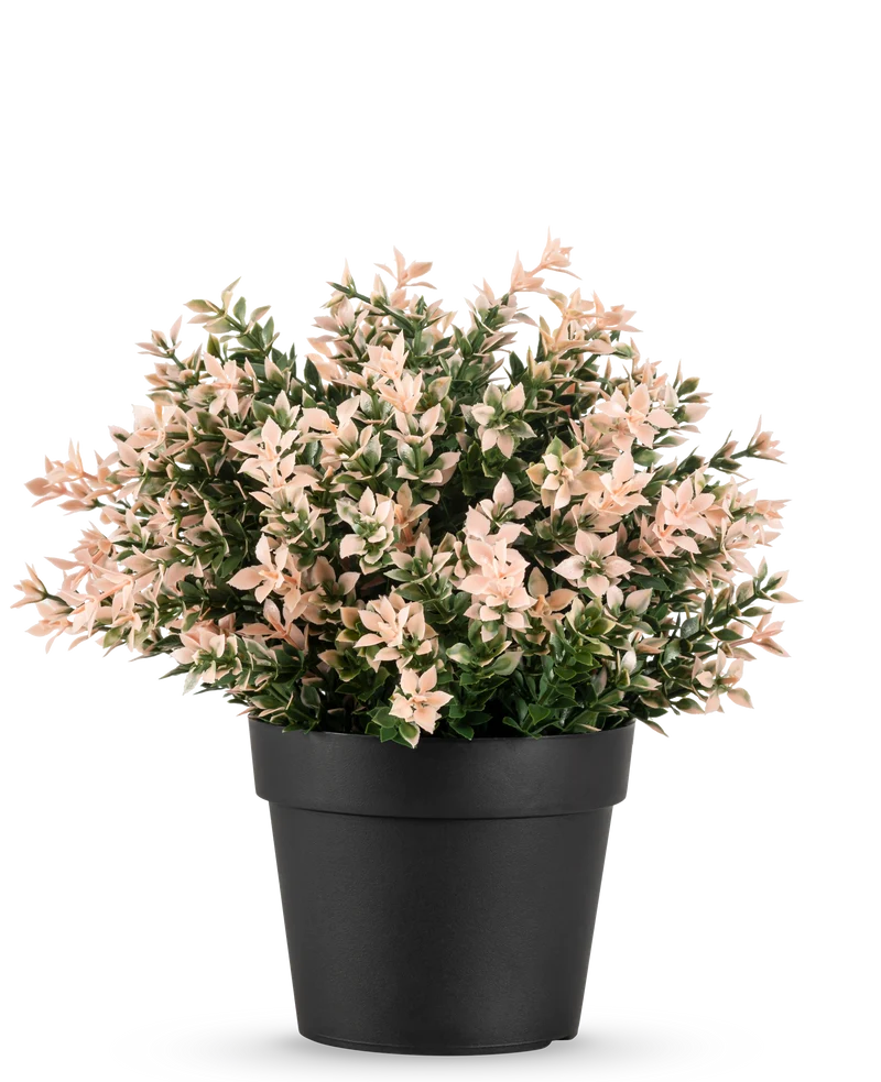 Kunstplant Buxus roze UV 22 cm