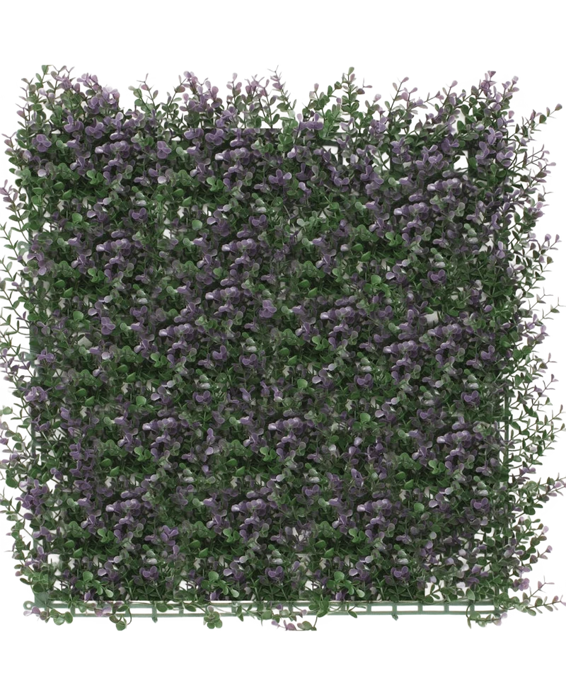 Kunsthaag Buxus paars 50x50 cm UV