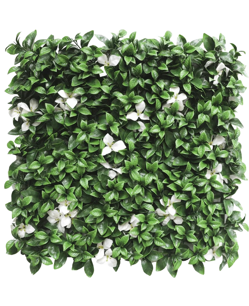 Kunsthaag Gardenia met witte bloem 50x50 cm UV