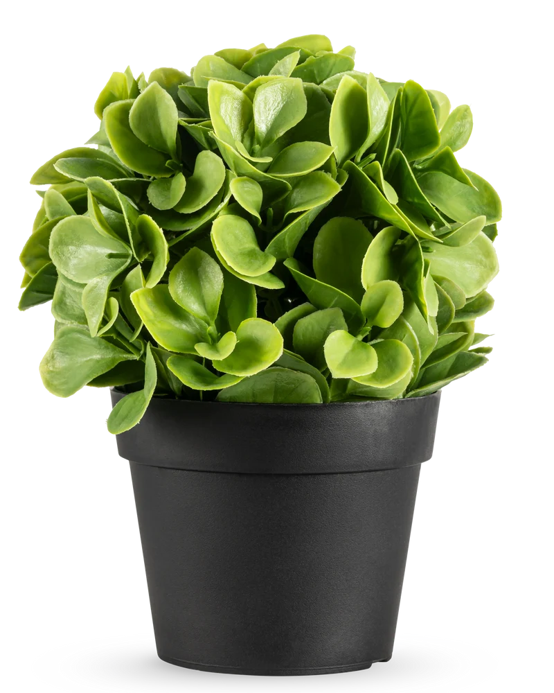 Kunstplant Murraya UV 20 cm