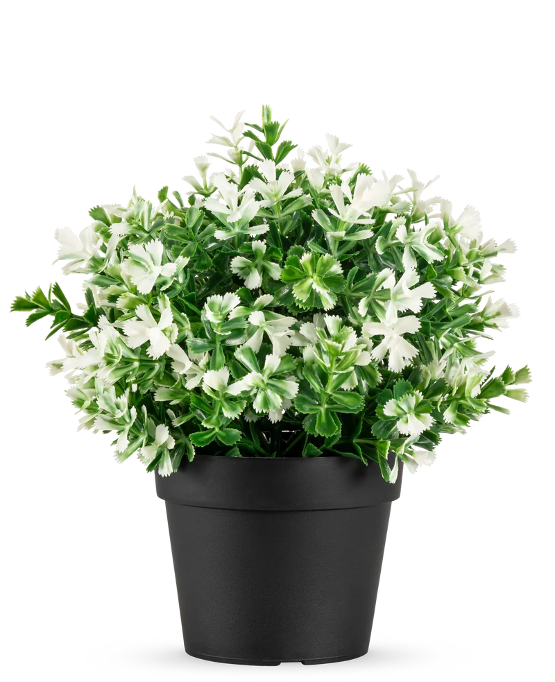 Kunstplant Buxus wit in pot UV 19 cm