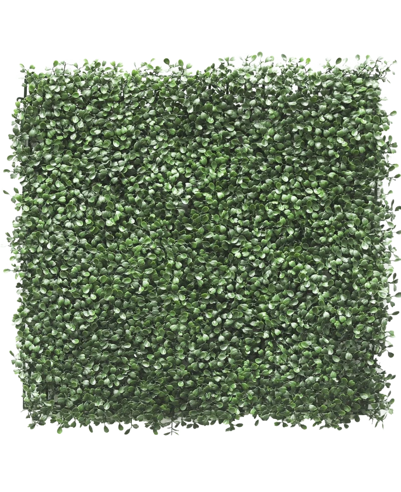 Kunsthaag Buxus 50x50 cm UV